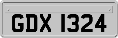 GDX1324