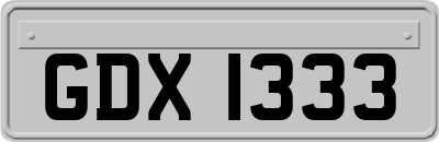 GDX1333