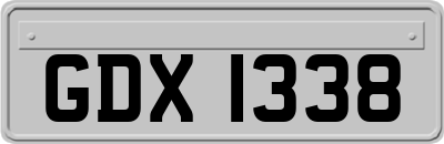 GDX1338