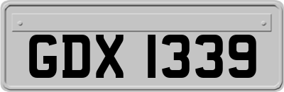 GDX1339