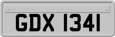 GDX1341