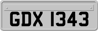 GDX1343