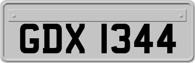 GDX1344