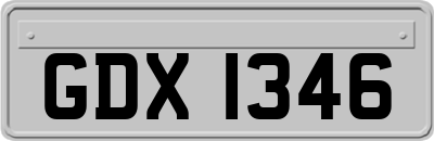GDX1346