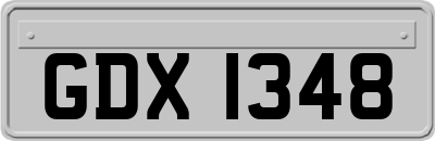 GDX1348