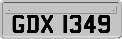 GDX1349