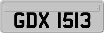 GDX1513