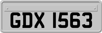 GDX1563
