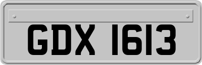 GDX1613