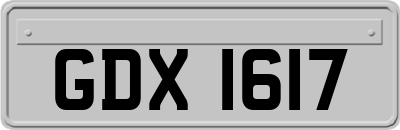 GDX1617