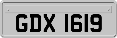 GDX1619