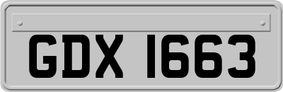 GDX1663