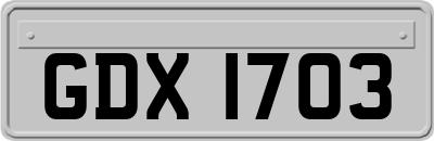 GDX1703
