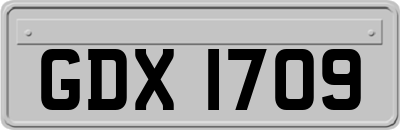 GDX1709