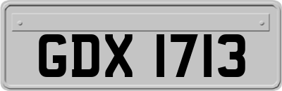 GDX1713