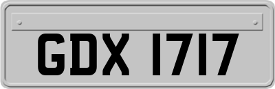 GDX1717