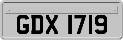 GDX1719