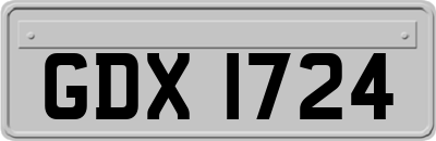 GDX1724