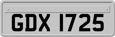 GDX1725