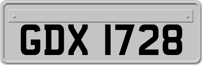 GDX1728