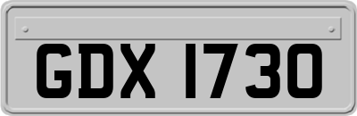 GDX1730