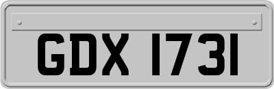 GDX1731