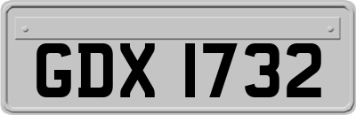 GDX1732