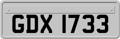 GDX1733