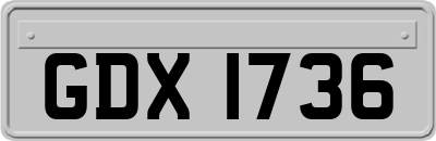 GDX1736