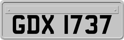 GDX1737