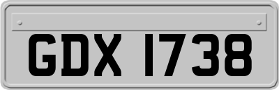 GDX1738
