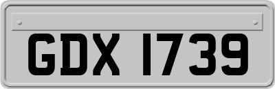 GDX1739