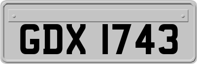 GDX1743