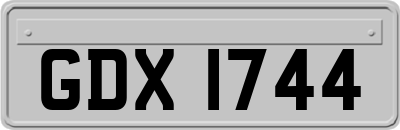 GDX1744