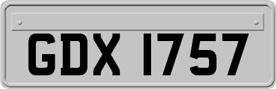 GDX1757