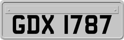 GDX1787