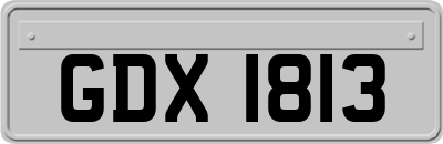 GDX1813