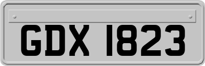 GDX1823