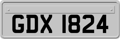 GDX1824