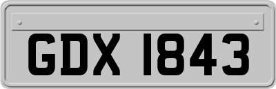 GDX1843