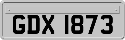 GDX1873