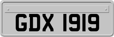 GDX1919
