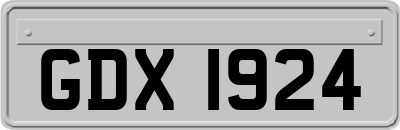 GDX1924