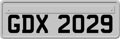 GDX2029