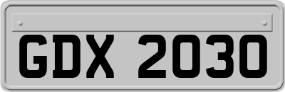 GDX2030