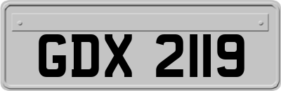 GDX2119