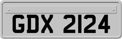 GDX2124