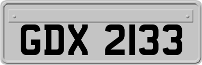 GDX2133