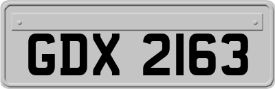 GDX2163