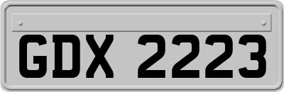 GDX2223